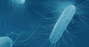 Las interacciones con otras bacterias intestinales convierten a C. difficile en una bacteria aún más peligrosa | Actualidad