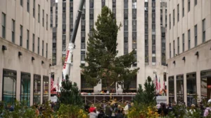 Llegada del árbol de Navidad del Rockefeller Center da inicio a la temporada de fiestas