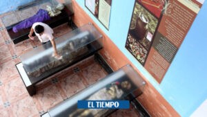 Momias de San Bernardo, Cundinamarca | pueblos colombianos - Otras Ciudades - Colombia