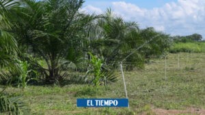 Repelón mantiene recursos líquidos para su Distrito de Riego - Barranquilla - Colombia