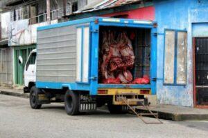 camion carne tucupita - delta amacuro