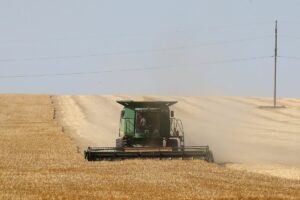 Rusia reanuda su participacin en el acuerdo de exportacin de cereales ucranianos