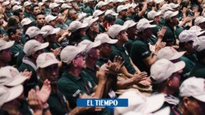 Tolima invierte $40.000 millones de pesos en siembra de cafetales - Otras Ciudades - Colombia