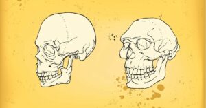 nuestro cerebro creció a la vez que conservamos un cráneo más joven