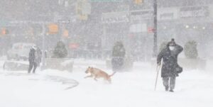 tormenta de nieve recubrió parte de Nueva York