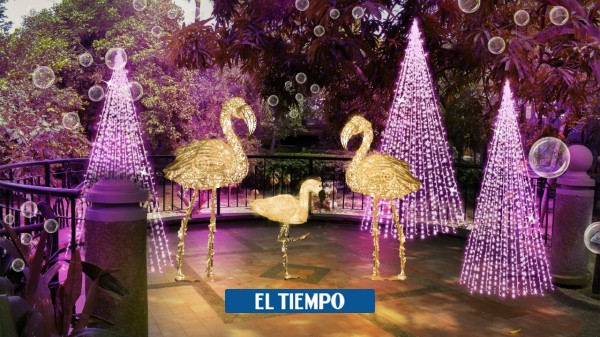 Barranquilla: decoraciones navideñas en el Zoológico - Barranquilla - Colombia