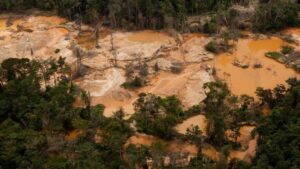 Desmantelaron campamentos de minería ilegal en el Parque Nacional Canaima