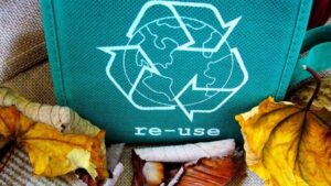 Economía circular: cómo fabricar materias primas con desechos | Diario El Luchador