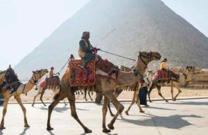 Egipto y Arabia Saudita establecen estrategias para trabajadores turísticos y hotelero