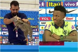 Jefe de prensa de Brasil lanzó al piso a un gato que interrumpió una rueda de prensa de Vinicius y causó polémica (+Video)