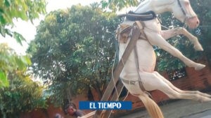 Maltrato animal: caballo quedó en el aire por excesivo peso en su carreta - Medellín - Colombia