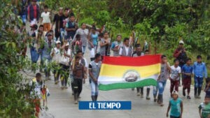 Muere indígena awá al pisar mina entre Barbacoas y Tumaco, en Nariño - Otras Ciudades - Colombia