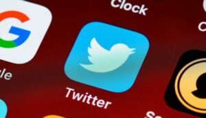 Twitter liberará nombres de usuario al eliminar miles de cuentas inactivas | Diario El Luchador