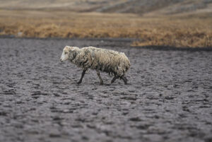 ▷ Desaparece laguna por peor sequía reciente en los Andes de Perú #2Dic