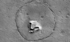Astrónomos de la NASA acaban de descubrir un «oso» en Marte | Diario El Luchador