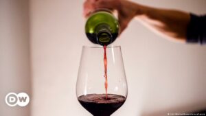 Canadá recomienda no beber más de dos copas de alcohol a la semana | Ciencia y Ecología | DW