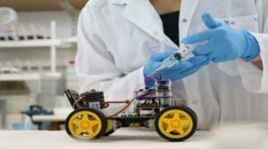 Científicos fabrican robot con antenas de saltamontes | Diario El Luchador