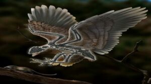 Encuentran un extraño híbrido entre dinosaurio y ave | Diario El Luchador
