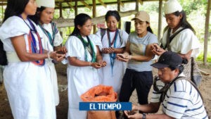 Gastronomía de los pueblos indígenas de la Sierra Nevada - Barranquilla - Colombia