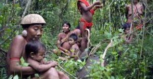 Gobierno de Lula declara emergencia sanitaria en la reserva indígena Yanomami