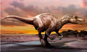 Hallan los restos fósiles de un megaraptor y otros dinosaurios en la Patagonia chilena | Diario El Luchador