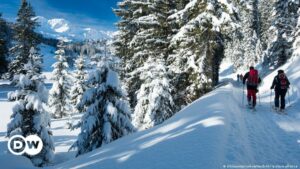 Hallan muertos en Japón a dos esquiadores tras avalancha | El Mundo | DW