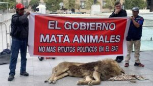 León muerto sorprende a transeúntes frente a palacio presidencial en Chile