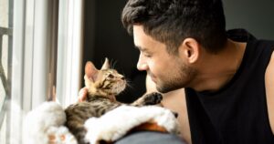 Los gatos también reconocen cuando sus dueños les hablan | Actualidad
