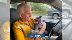 Medellín: Don Rodrigo y su perra Lola, la historia detrás de la foto viral - Medellín - Colombia