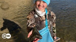Niña de 9 años aficionada a los fósiles encuentra el enorme diente de un megalodón | Ciencia y Ecología | DW