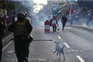 Perú promete a la ONU investigar denuncias por violencia policial