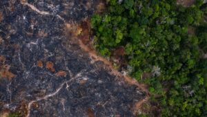 Reino Unido podría unirse al Fondo Amazonia para ayudar a Brasil a controlar deforestación