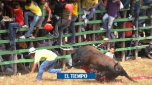 Un herido al tratar de coger el dinero lanzado a un toro en las corralejas - Otras Ciudades - Colombia