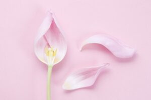 ¡BENEFICIOS! Descubre por qué es bueno para la salud tener sexo durante la menopausia