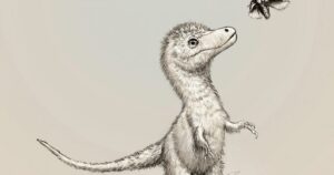 ¿Cómo eran las crías de Tyrannosaurus rex?