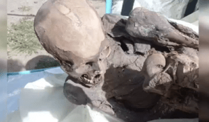 Encuentran momia prehispánica en bolsa de un repartidor de envíos en Perú