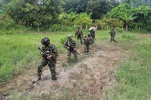 Militares venezolanos incautan 22 kilos de marihuana en región fronteriza