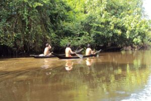 Pueblo warao en Benítez languidece entre la malaria y la desnutrición