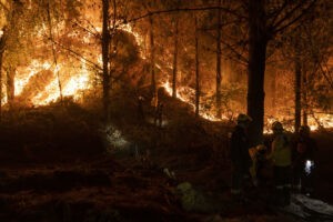 Toque de queda desde este viernes en ocho comunas de Chile por incendios