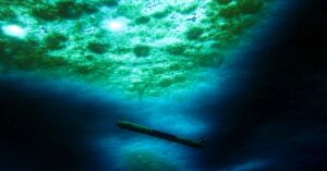 Un robot submarino estudió el preocupante deshielo debajo de la Antártida: esto es lo que halló
