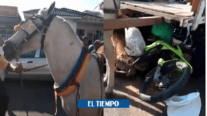 Vehículo de tracción animal atropelló a una moto de la Policía - Barranquilla - Colombia