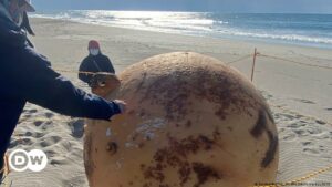 ¿Qué hay detrás de la misteriosa bola metálica hallada en una playa de Japón? | El Mundo | DW