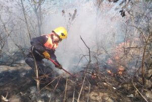 Inameh alertó sobre riesgos de incendios forestales hasta en un 70 % en Venezuela
