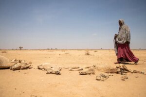 Alemania auxilia al este de África víctima de la sequía