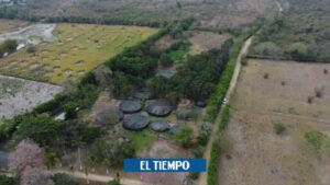Álex Manga: demanda de Air-e por robo de energía en Atlántico - Barranquilla - Colombia