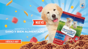 Alimentos Polar amplía su portafolio de productos para mascotas con el lanzamiento de SuperCan Cachorros – SuNoticiero