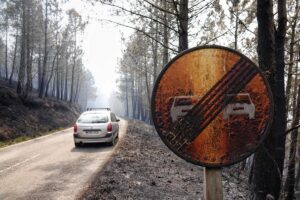 Asturias registra 91 incendios forestales con Valdés como epicentro de la labores de extinción
