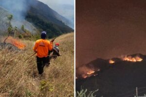 Cinco bomberos heridos durante las labores para apagar el voraz incendio en el parque nacional Henri Pittier (+Fotos y videos)