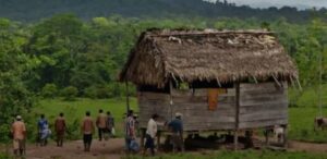 Denuncian asesinatos y secuestros contra comunidad indígena Wilu en Nicaragua - AlbertoNews
