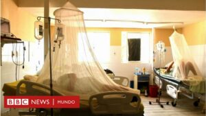 El brote de dengue que ha dejado decenas de muertos y miles de contagiados en América Latina
